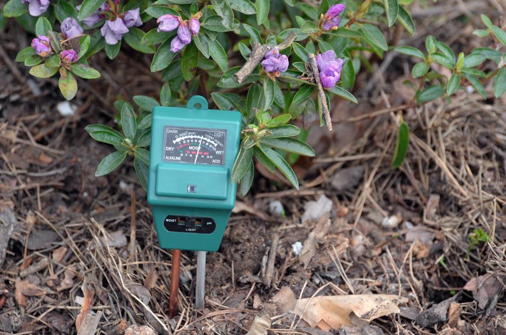 How To Test Your Garden Soil's Ph